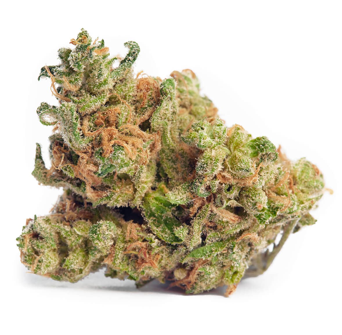 Blue Cheese